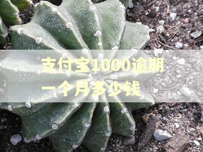 支付宝1000逾期一个月多少钱 支付宝1000逾期一个月多少钱