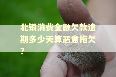 北银消费金融欠款逾期多少天算恶意拖欠?