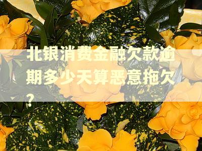 北银消费金融欠款逾期多少天算恶意拖欠?