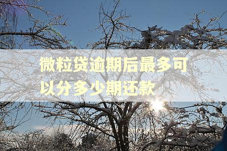 微粒贷逾期后最多可以分多少期还款