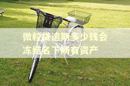 微粒贷逾期多少钱会冻结名下所有资产