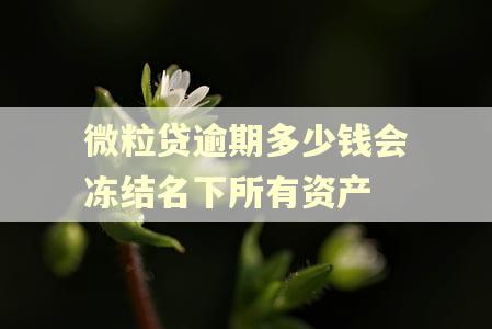 微粒贷逾期多少钱会冻结名下所有资产