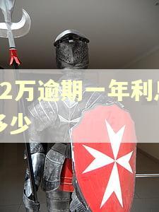 12万逾期一年利息多少 12万逾期一年利息多少