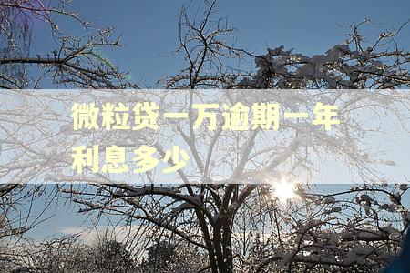 微粒贷一万逾期一年利息多少