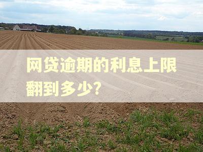 网贷逾期的利息上限翻到多少?