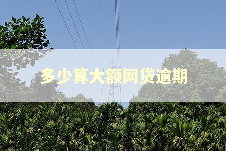 多少算大额网贷逾期