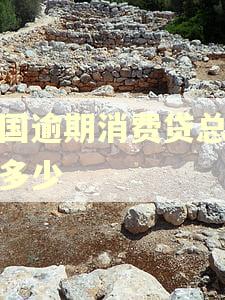 全国逾期消费贷总额是多少