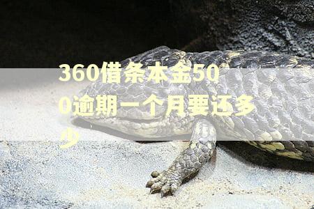 360借条本金500逾期一个月要还多少