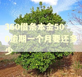 360借条本金500逾期一个月要还多少