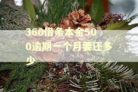 360借条本金500逾期一个月要还多少 360借条本金500逾期一个月要还多少
