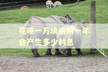 花呗一万块逾期一年会产生多少利息