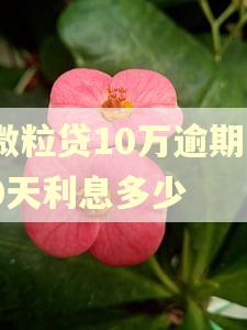 微粒贷10万逾期10天利息多少