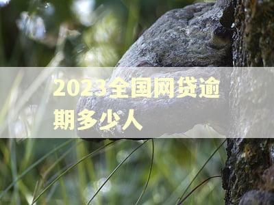 2023全国网贷逾期多少人
