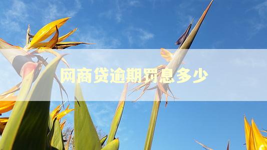 网商贷逾期罚息多少
