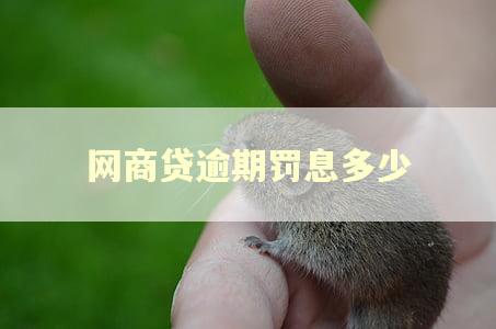 网商贷逾期罚息多少 网商贷逾期罚息多少