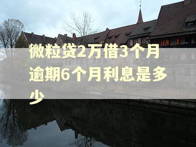 微粒贷2万借3个月逾期6个月利息是多少