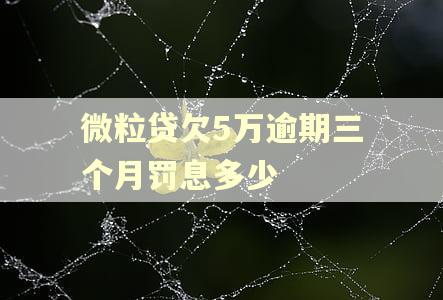 微粒贷欠5万逾期三个月罚息多少