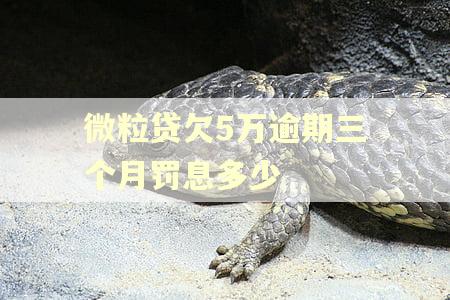 微粒贷欠5万逾期三个月罚息多少
