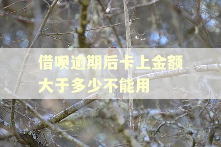 借呗逾期后卡上金额大于多少不能用