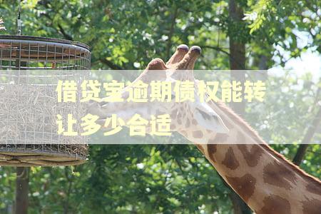 借贷宝逾期债权能转让多少合适