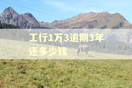 工行1万3逾期3年还多少钱