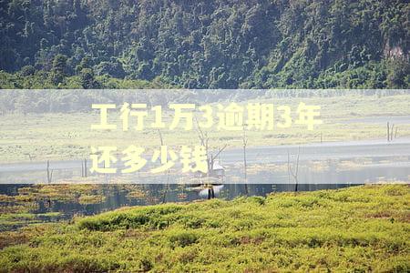 工行1万3逾期3年还多少钱 工行1万3逾期3年还多少钱