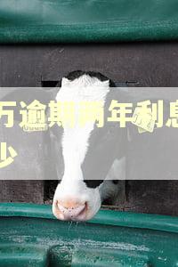 八万逾期两年利息要多少