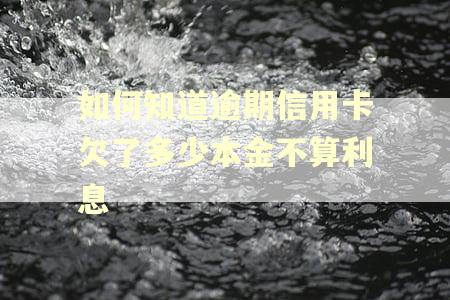 如何知道逾期信用卡欠了多少本金不算利息