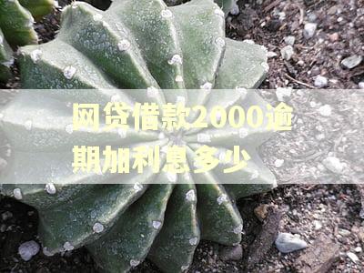 网贷借款2000逾期加利息多少