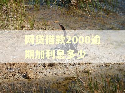 网贷借款2000逾期加利息多少 网贷借款2000逾期加利息多少