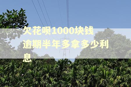 欠花呗1000块钱逾期半年多拿多少利息