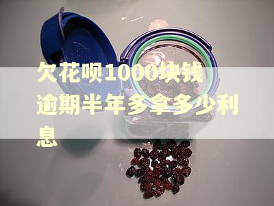 欠花呗1000块钱逾期半年多拿多少利息