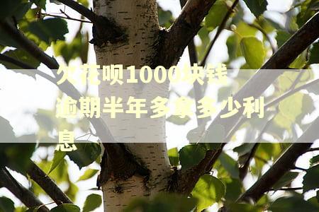 欠花呗1000块钱逾期半年多拿多少利息