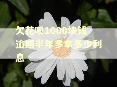 欠花呗1000块钱逾期半年多拿多少利息