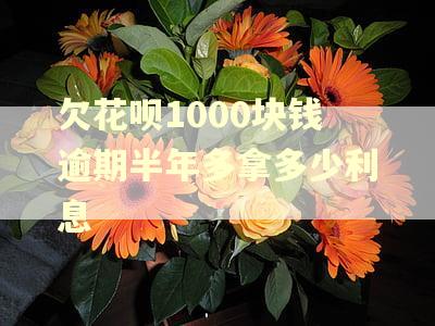 欠花呗1000块钱逾期半年多拿多少利息 欠花呗1000块钱逾期半年多拿多少利息