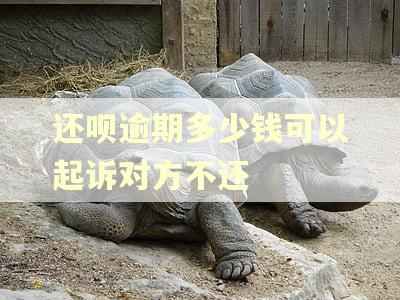 还呗逾期多少钱可以起诉对方不还