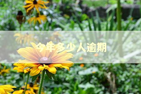 今年多少人逾期