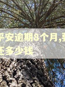 平安逾期8个月,要还多少钱