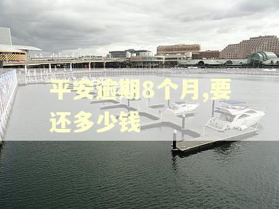平安逾期8个月,要还多少钱