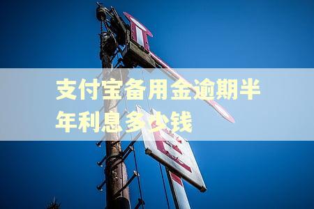 支付宝备用金逾期半年利息多少钱