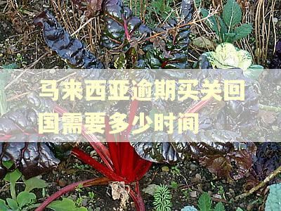 马来西亚逾期买关回国需要多少时间