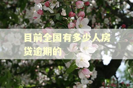 目前全国有多少人房贷逾期的