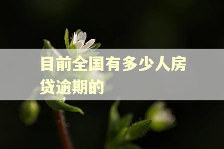 目前全国有多少人房贷逾期的