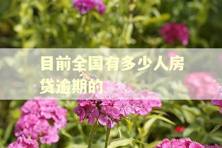 目前全国有多少人房贷逾期的