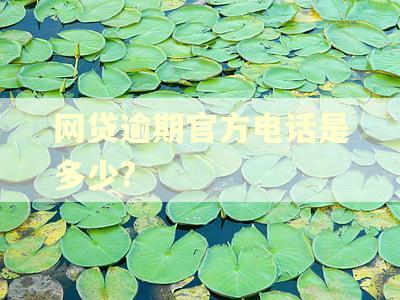 网贷逾期官方电话是多少?