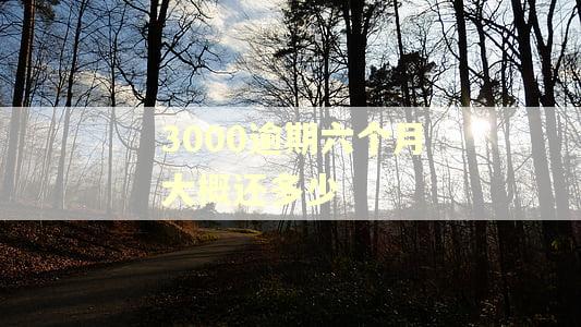 3000逾期六个月大概还多少