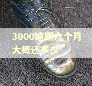 3000逾期六个月大概还多少