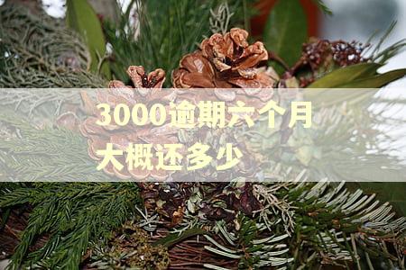 3000逾期六个月大概还多少 3000逾期六个月大概还多少