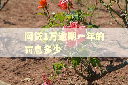 网贷1万逾期一年的罚息多少