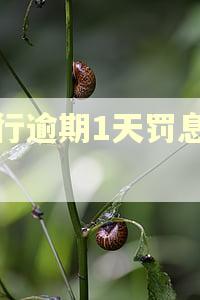 建行逾期1天罚息多少